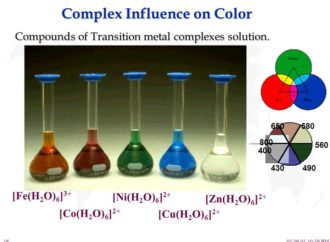 MudFossil University